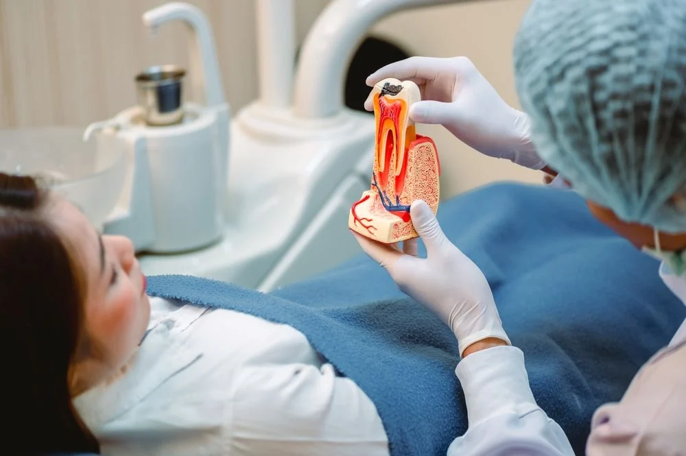 Root Canal Therapy: What It Is, How It Works, and What to Expect 29 Root canal therapy3 Root Canal Therapy: What It Is, How It Works, and What to Expect