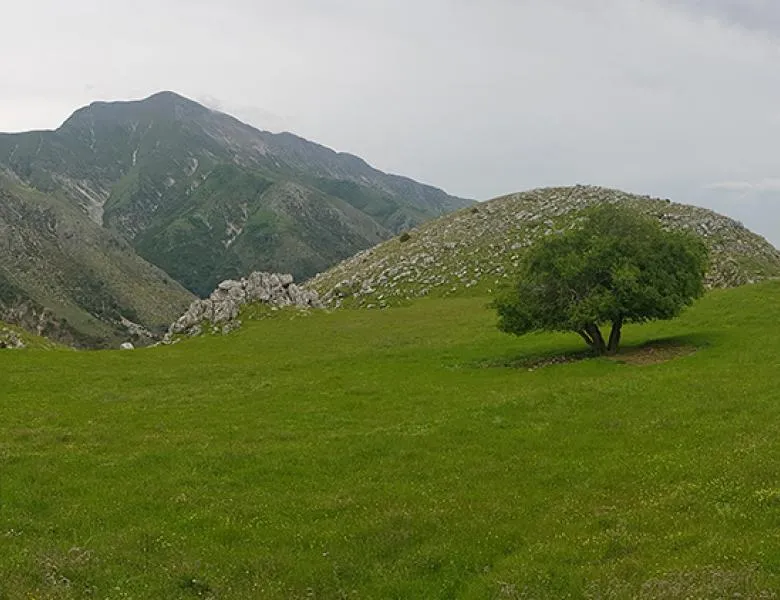 Dita 2 Saraqinisht Rreth Nesh