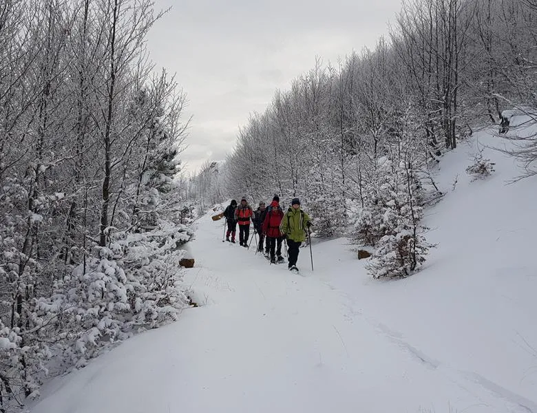 Dita 5 Qafshtama Rreth Nesh