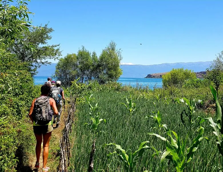 foto kopertine turi 10 Rreth Nesh