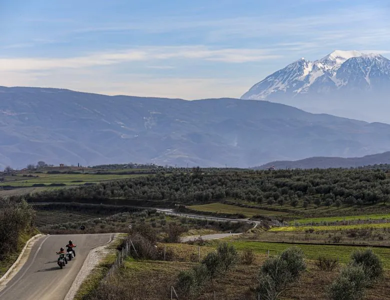 foto kopertine turi 11 Rreth Nesh