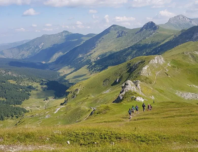 foto kpertine turi 4 Rreth Nesh