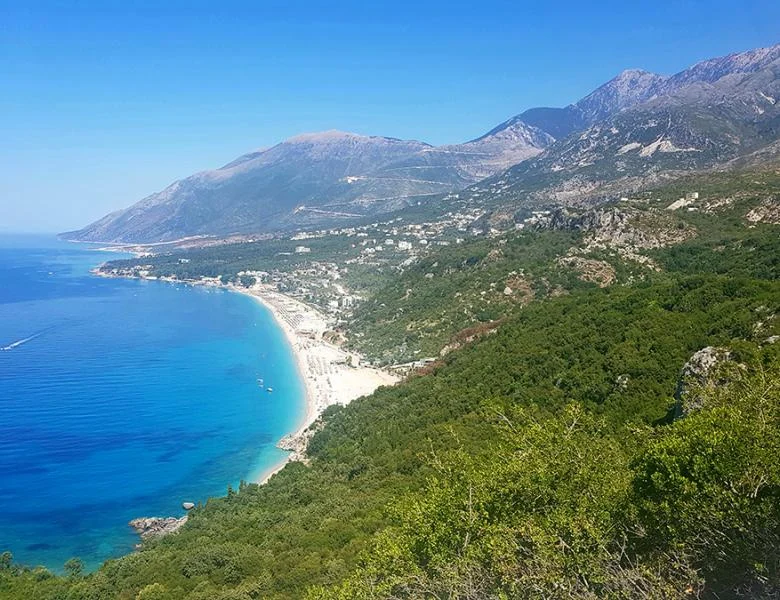 vlore dita 6