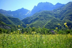 theth-11-Shutterstock-large-1_0 (1)
